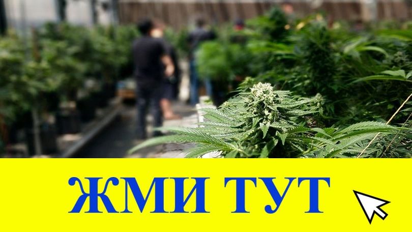 Купить наркотики в Мелеузе